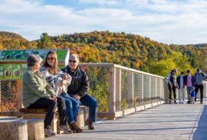 passerelle-sentier-des-cimes-laurentides-accessible